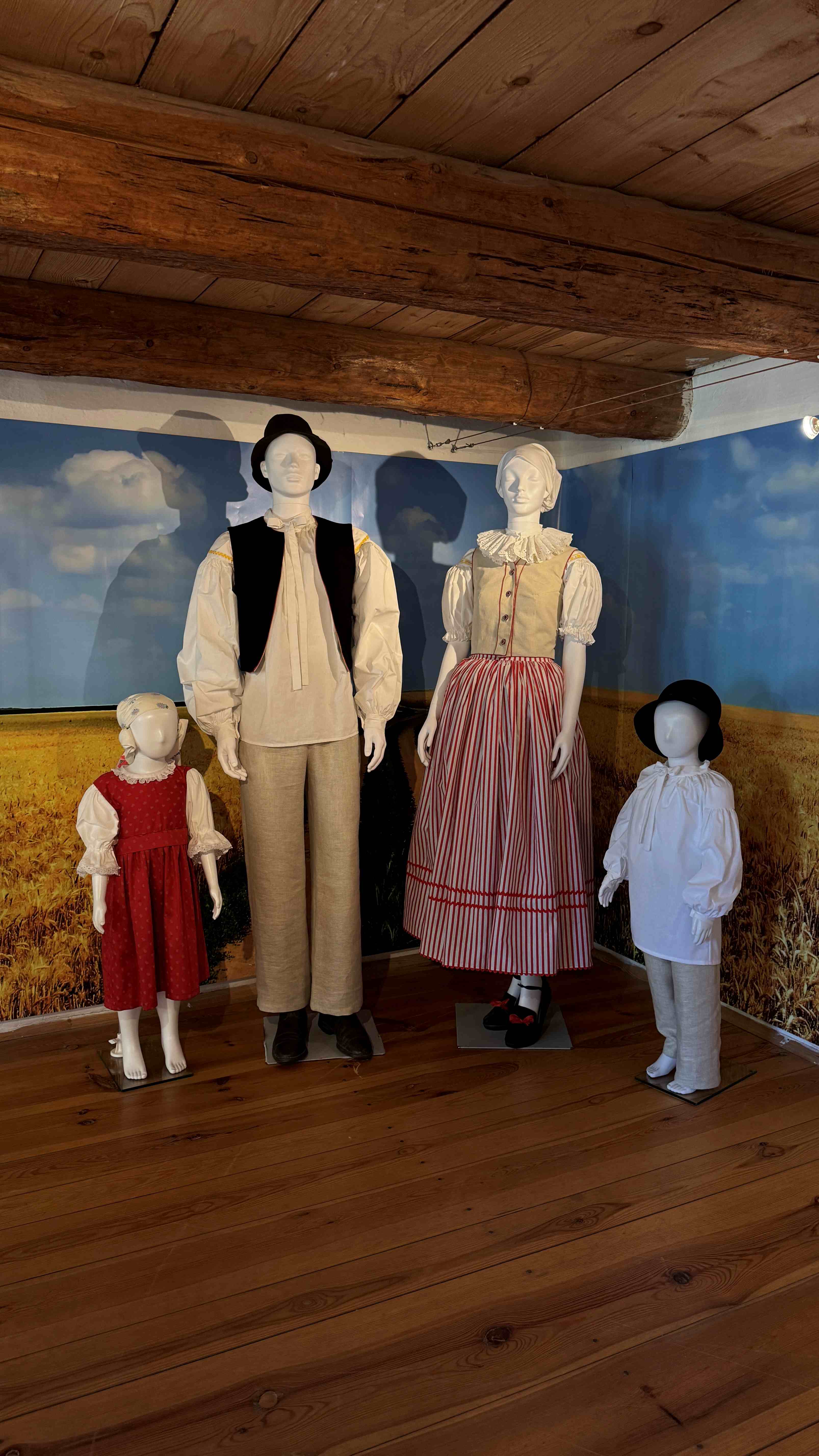 Hanácký kroj v proměnách času. Muzeum v přírodě nabízí novou výstavu o lidovém oděvu