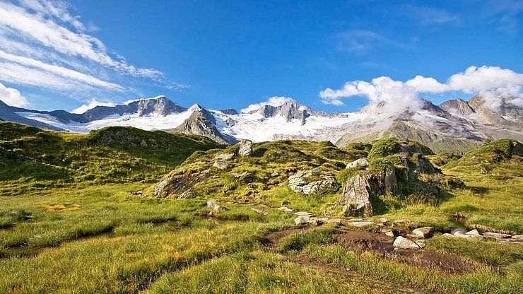 Naturschutzplan auf der Alm