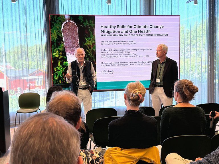 Healthy soils matter for climate, food and human health