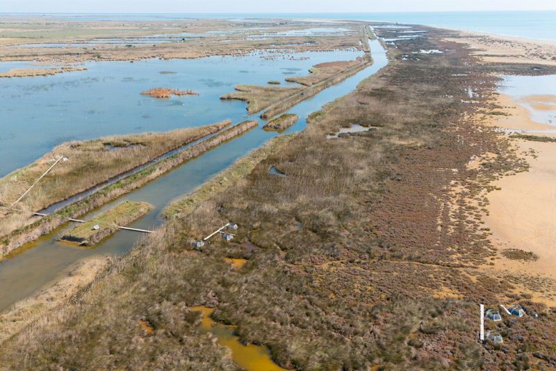 Eurecat lidera desde las Terres de l’Ebre un proyecto europeo que elaborará herramientas para valorizar los beneficios ambientales, sociales y económicos de restaurar la naturaleza
