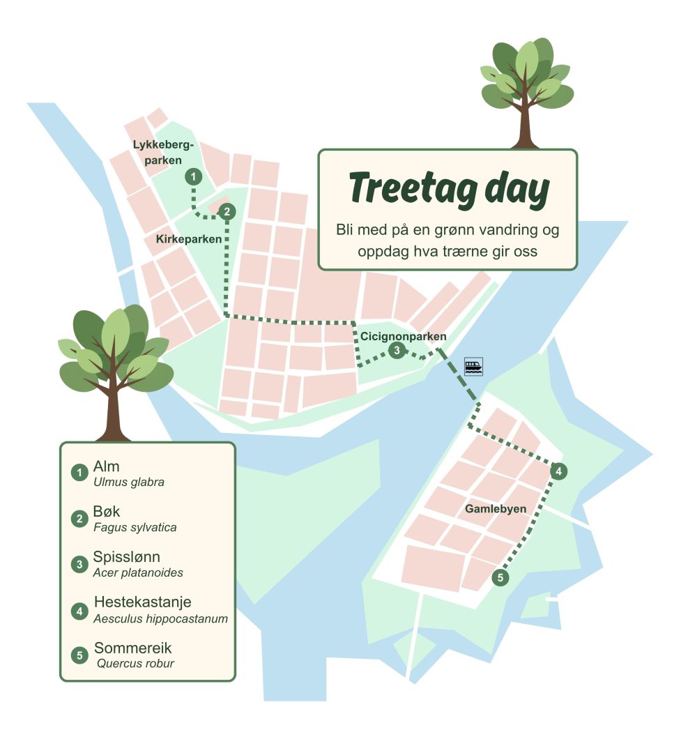 Treetag day 18. september