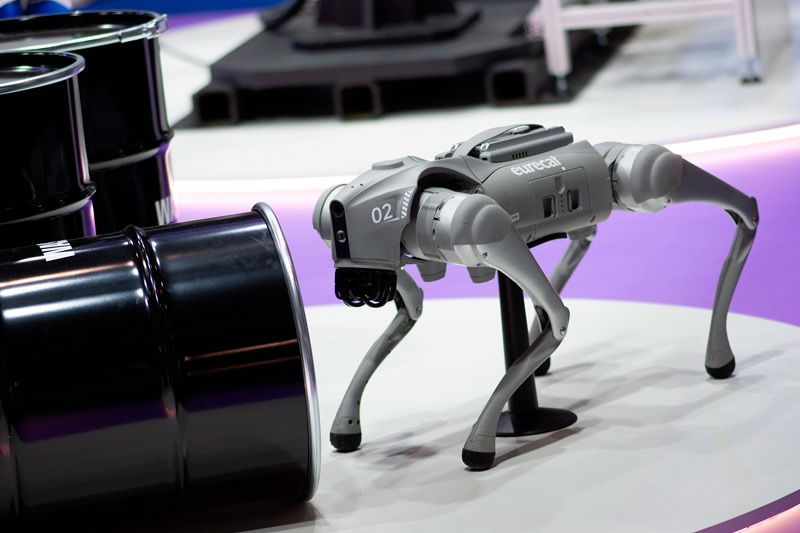Eurecat apunta a la Inteligencia Artificial Física para lograr una nueva generación de robots capaces de aprender