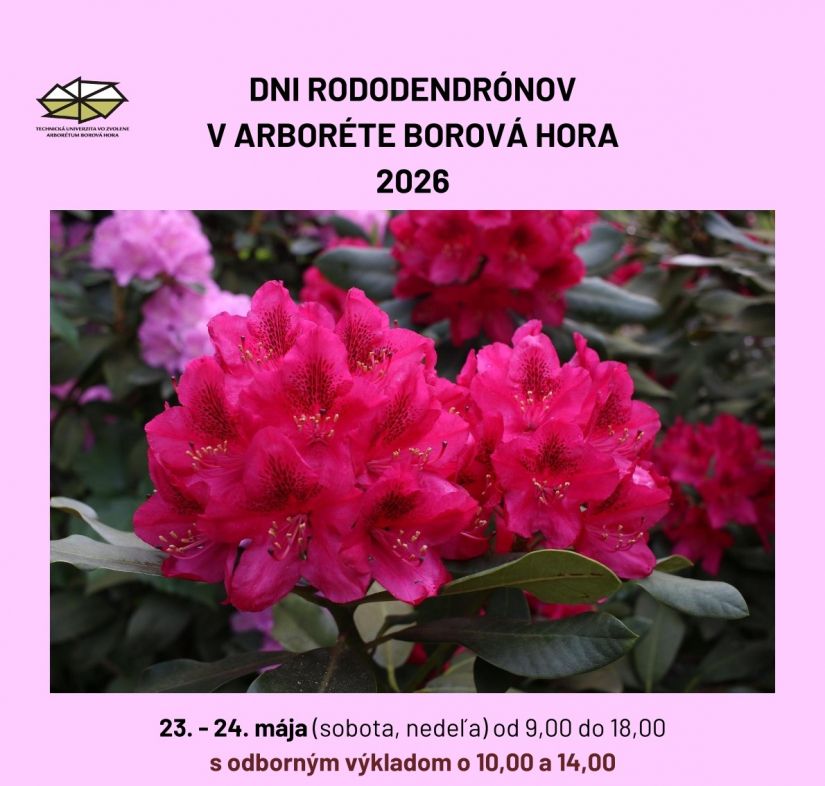 Arborétum Borová hora pozýva na obľúbené Dni rododendronov 2026