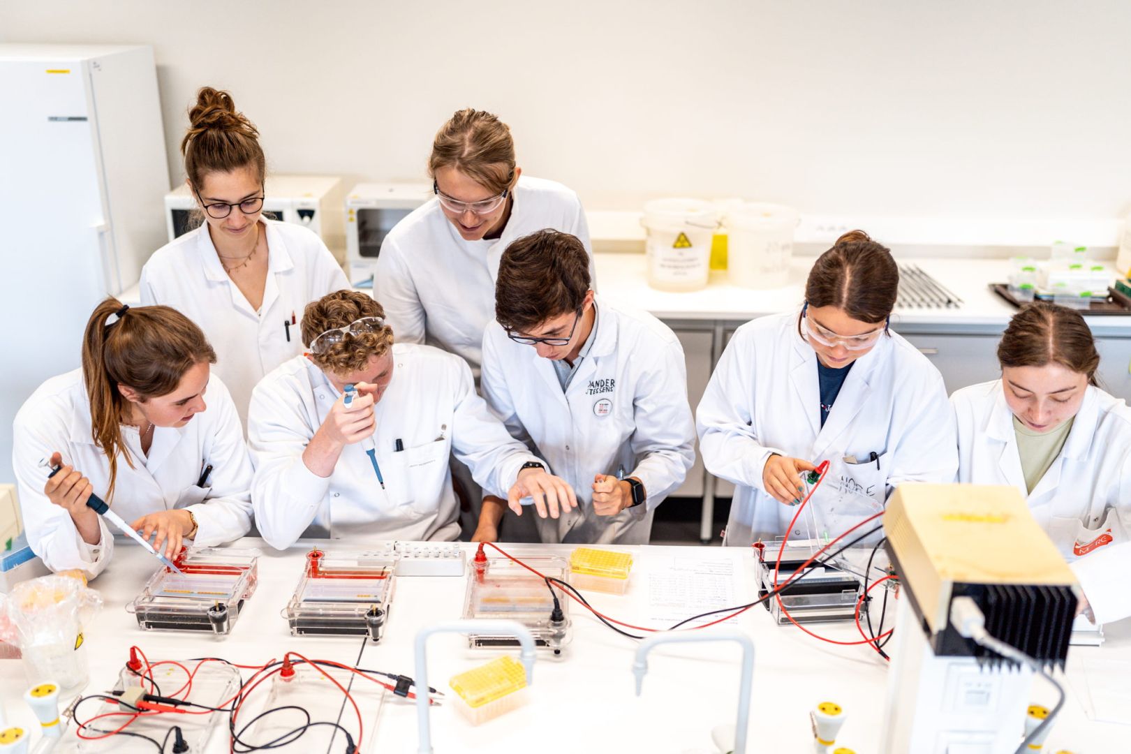 Onzekere tijden, duidelijke studiekeuze: jongeren kiezen voor werkzekerheid