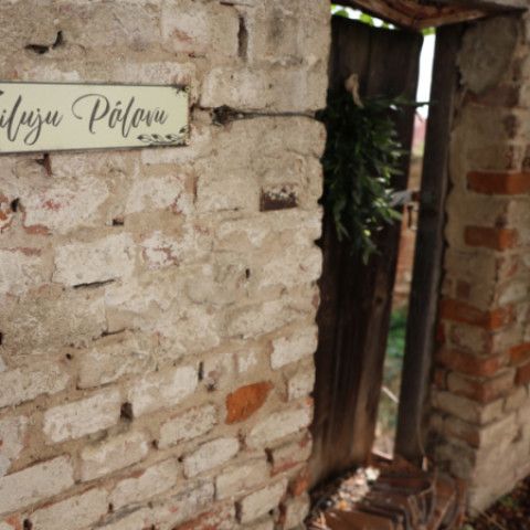 Výtvarníci zo Senice a Veľkých Pavlovíc opäť tvorili na Pálave