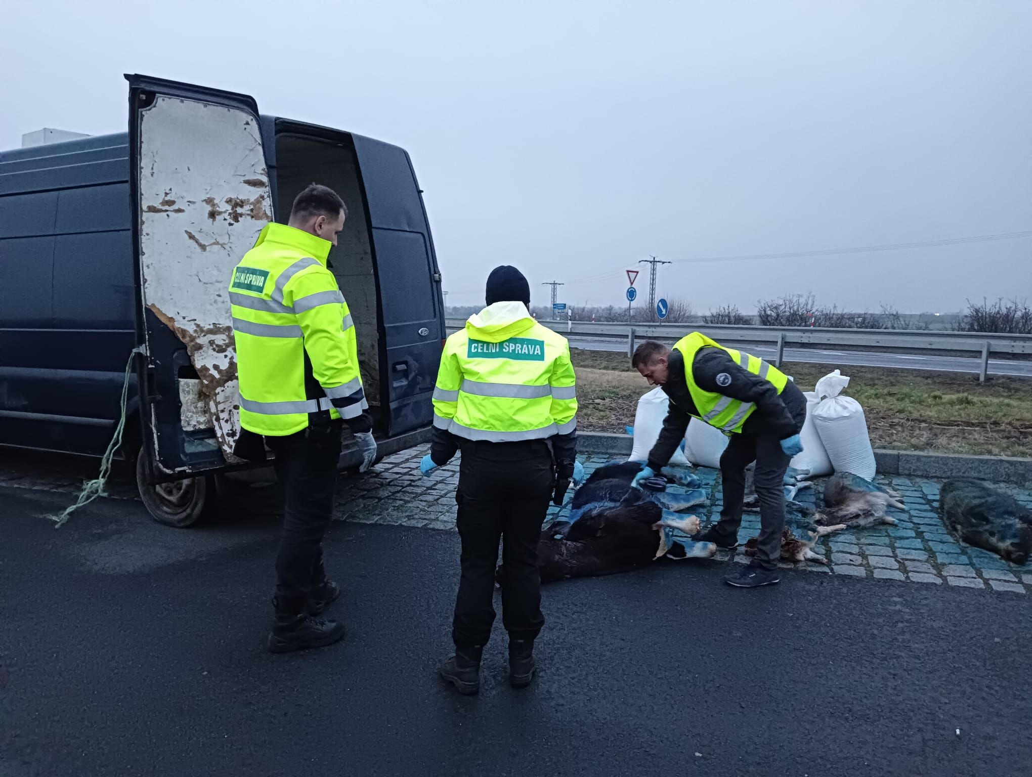V dodávce celníci objevili mrtvou zvěř