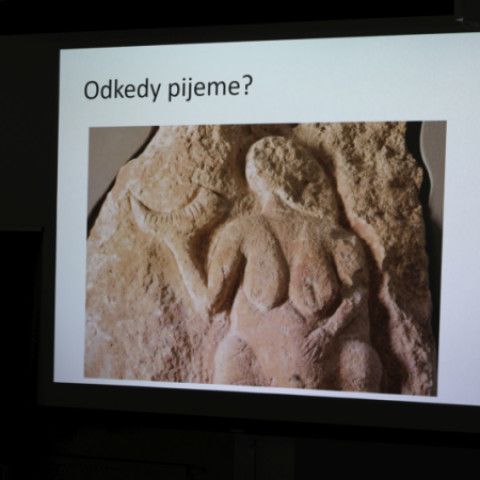 Leto v Múzeu Senica prinieslo štyri večery plné histórie