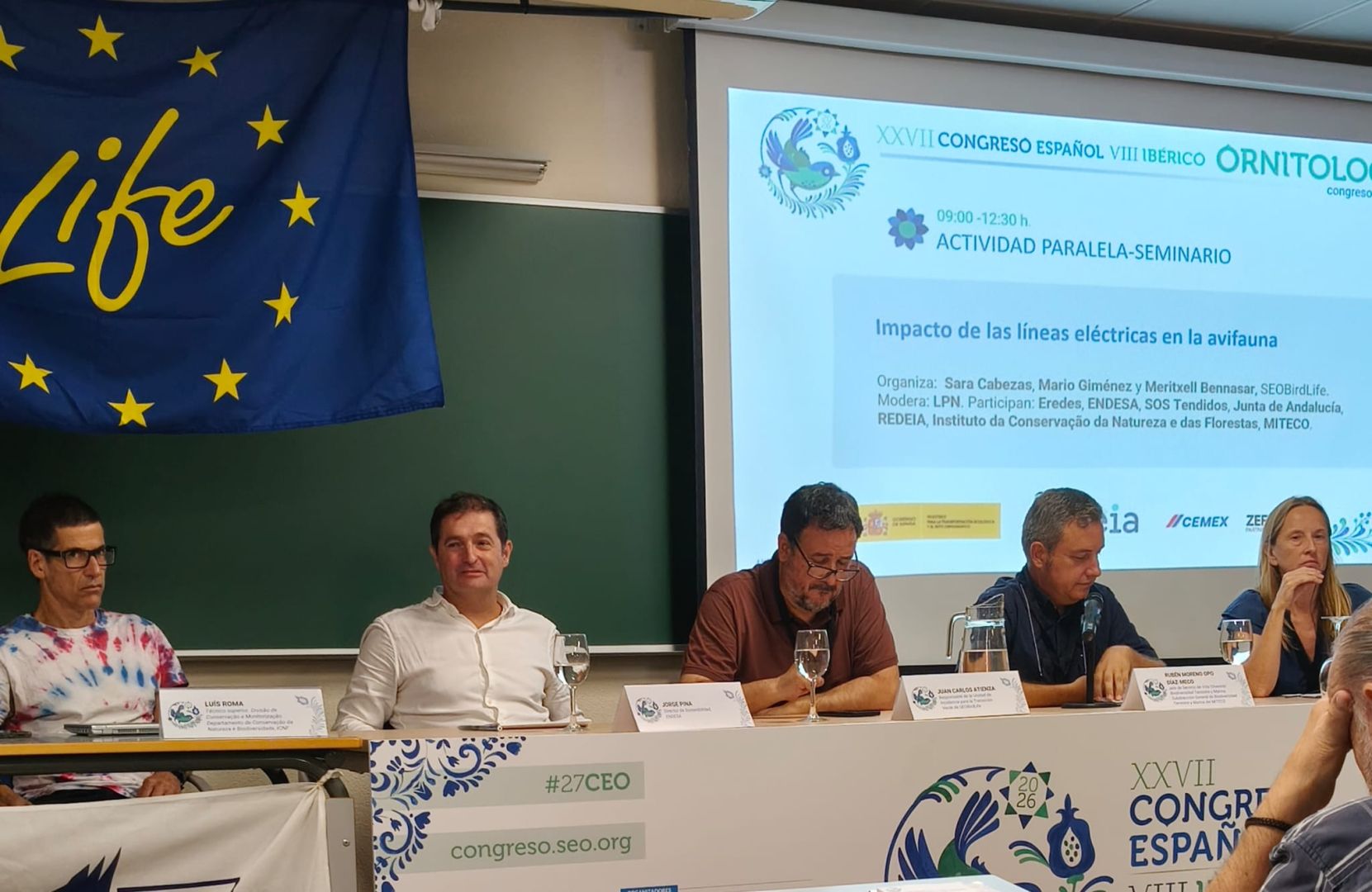 Abordamos el impacto de los tendidos eléctricos sobre la avifauna