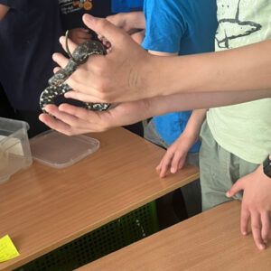 Prednáška so živými hadmi na ZŠ Kysucká