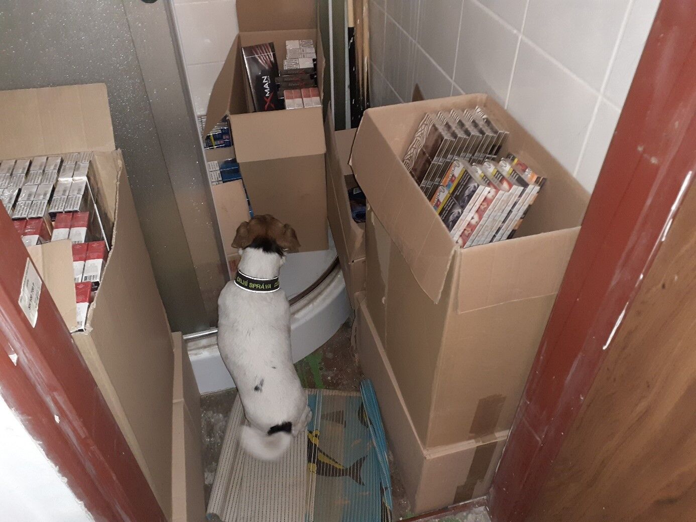 Ústečtí celníci odhalili nelegální hernu