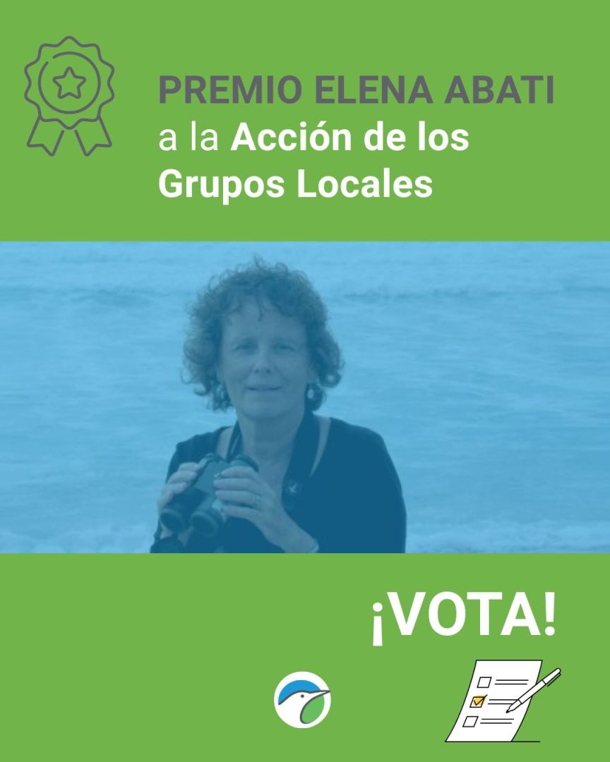 Abierta la Votación 5º Premios Elena Abati
