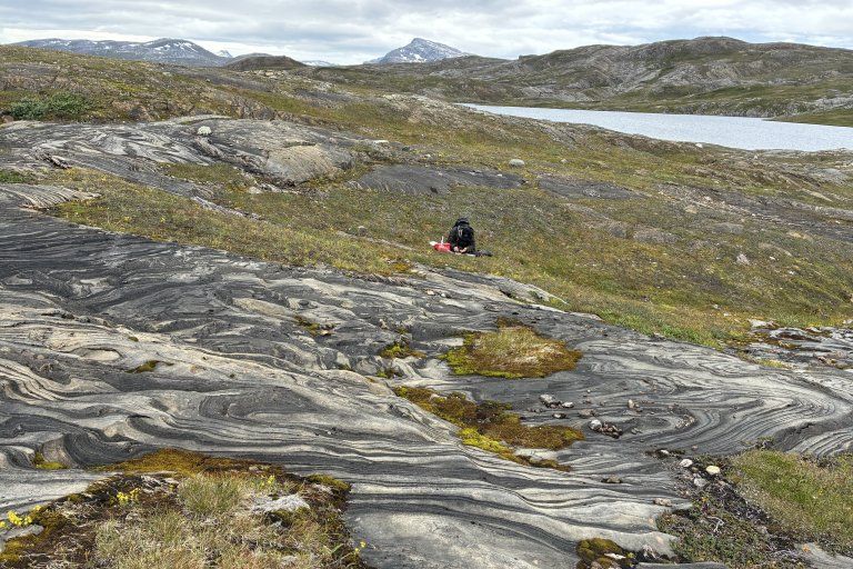 Searching for unknown fungi in the mountains