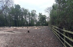 Landowner ordered to pay highest ever illegal felling fine