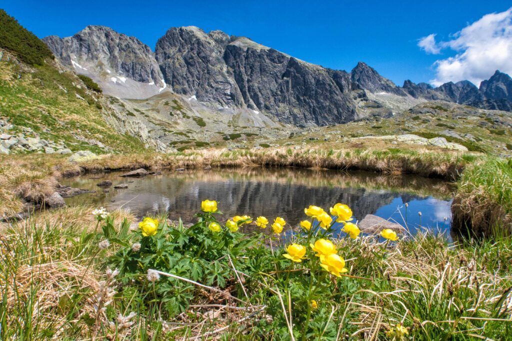 Po letnej sezóne čaká Tatry veľké upratovanie. Čisté hory budú už po 48.raz