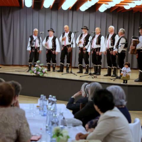 Babička roka 2026: Senický dom kultúry tlieskal pätnástim úžasným dámam!