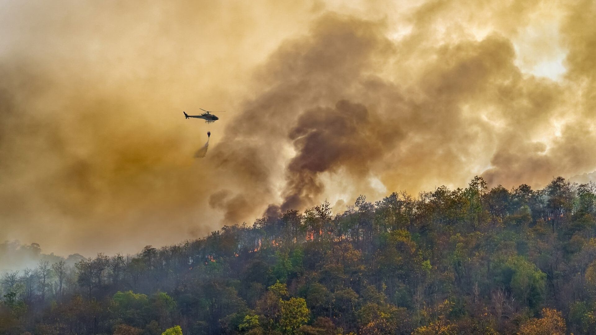 Allianz supera los 1,2 millones de avisos preventivos a clientes ante los incendios forestales de este verano