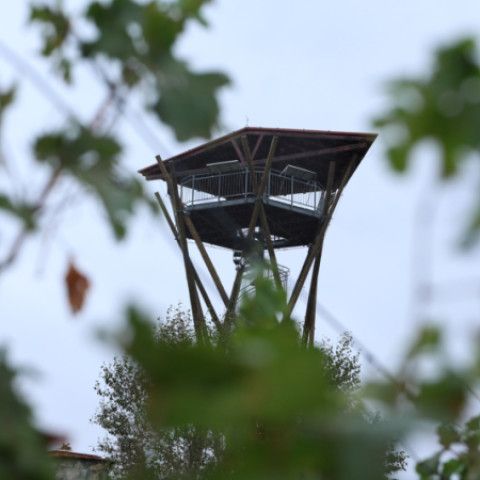 Výtvarníci zo Senice a Veľkých Pavlovíc opäť tvorili na Pálave