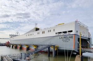 Laureline report published