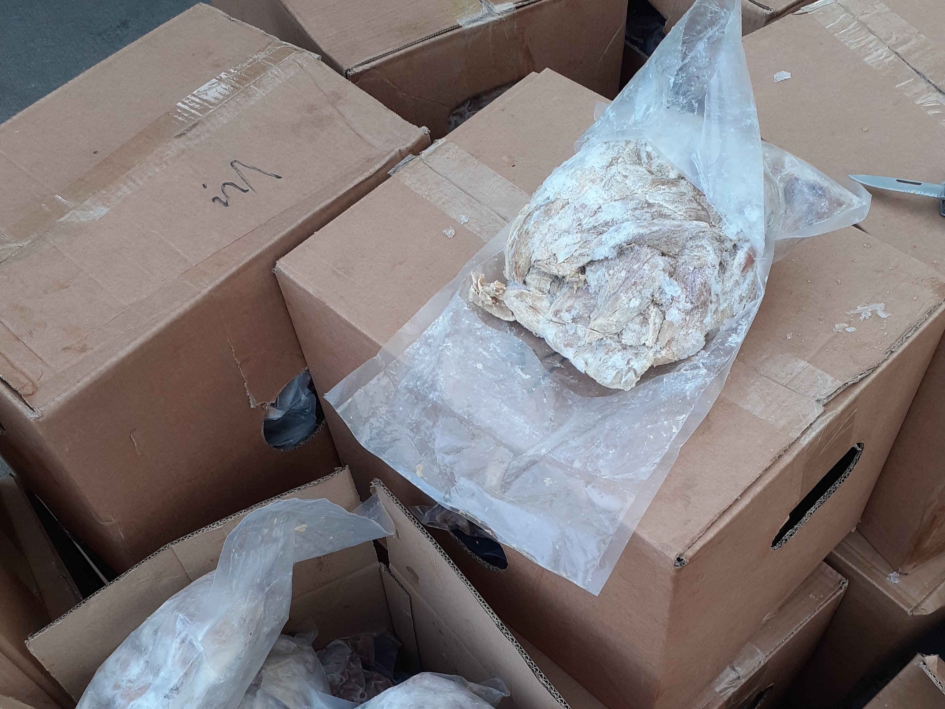 Tunu závadného masa zadrželi celníci na Vysočině