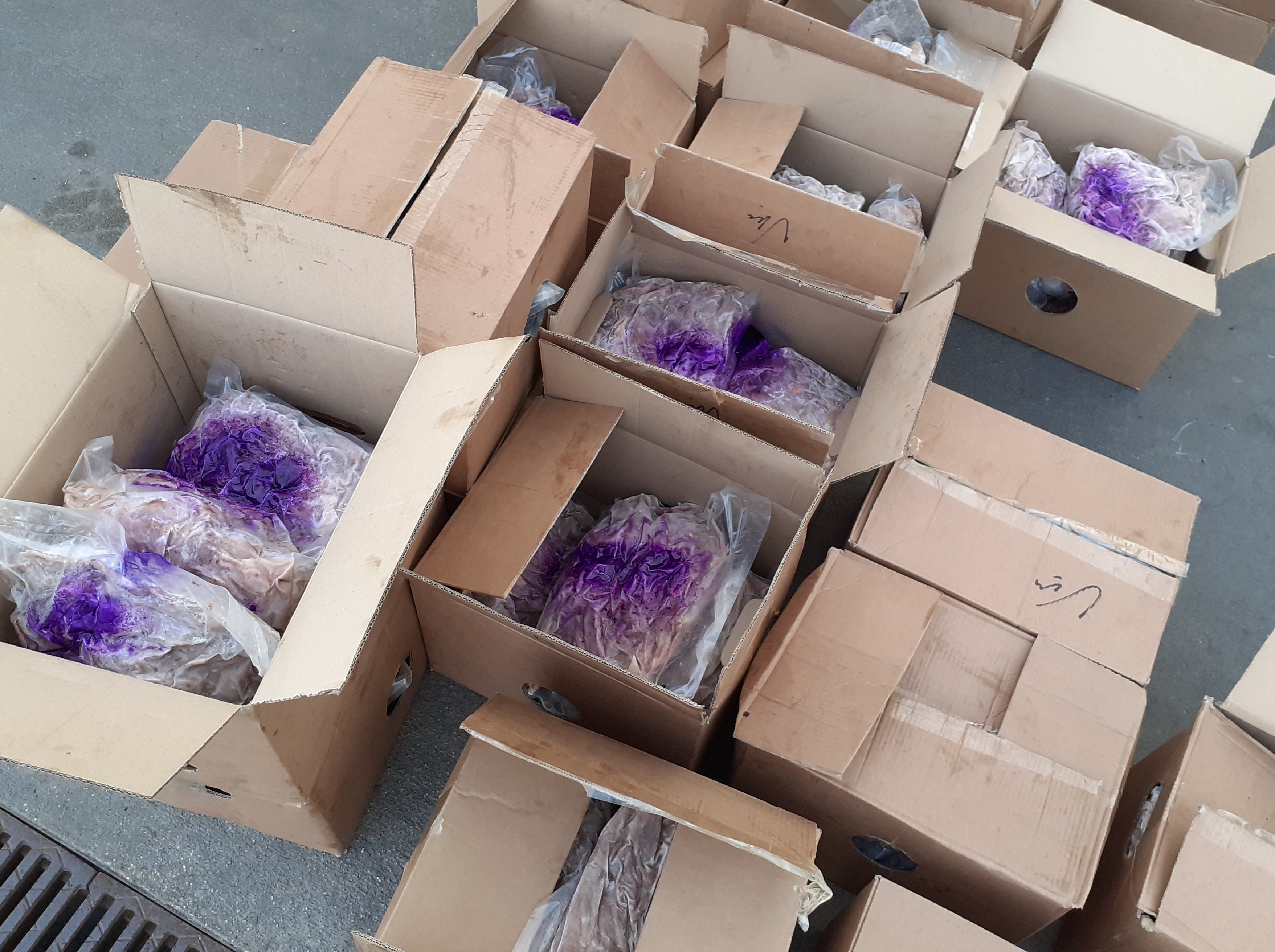 Tunu závadného masa zadrželi celníci na Vysočině