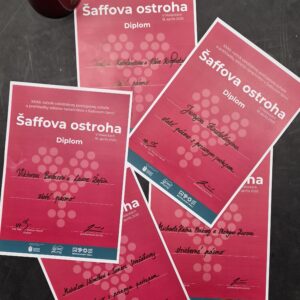 DFS Slnečnica opäť úspešná na súťaži