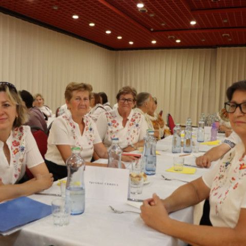 Súbory seniorov sa opäť stretli na pódiu