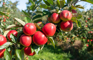 Farming and food leaders unite to drive growth in British agriculture