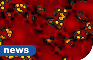 Hepatitis C infections in people who inject drugs continue to fall