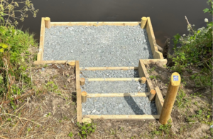 Decade of transformation: Environment Agency marks £10 million milestone in fisheries restoration