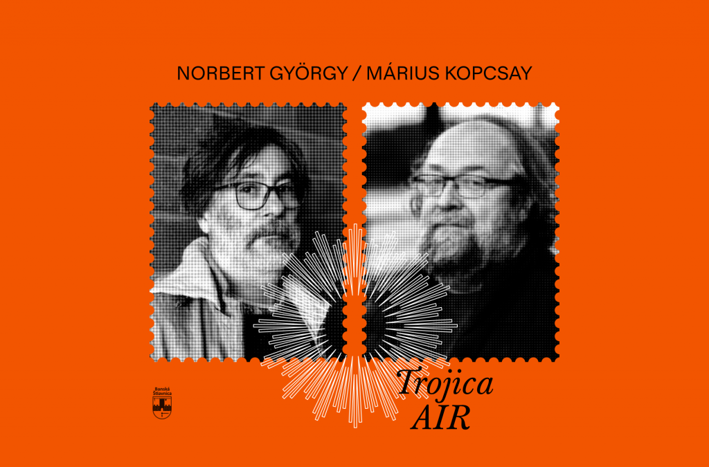 Medzi iróniou a trpezlivosťou: preklad ako vytrvalostný beh