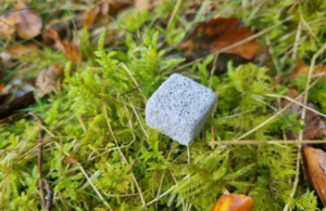 Powering the farms of the future with £50 million tech investment