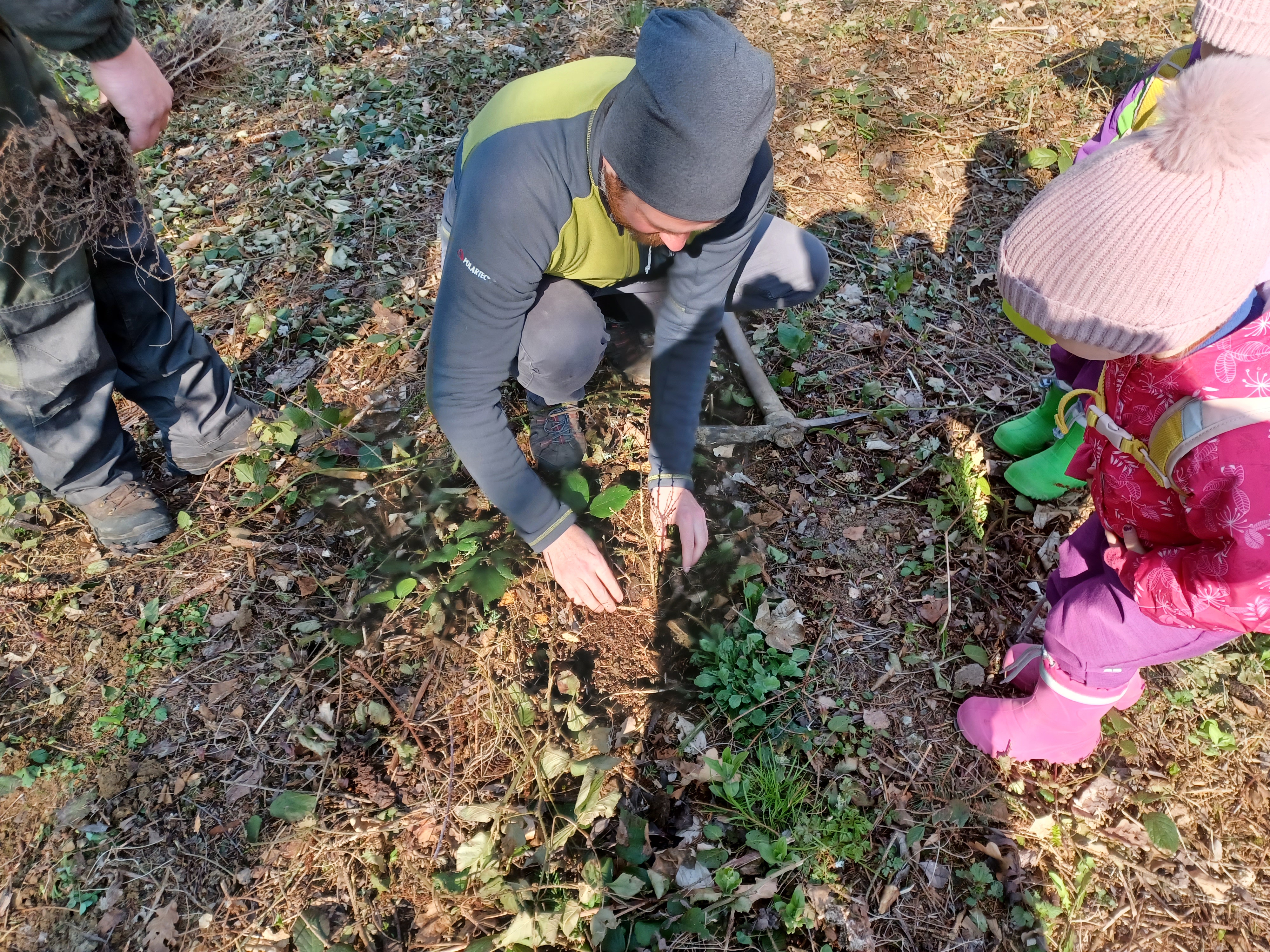 Apríl – mesiac lesov