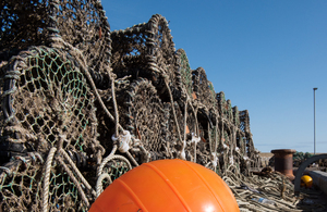 MMO and NIFCA joint enforcement operation at Port of Blyth results in successful prosecution