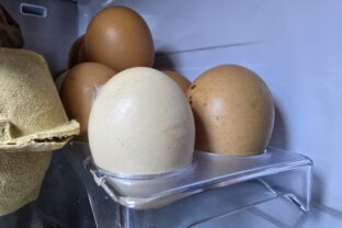 Koľko hotovosti si môžete nechať doma? Slováci sa často mýlia, zákon hovorí niečo iné