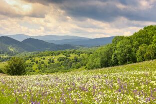 Prečo nás malé predmety dokážu upokojiť? Fungujú ako emočné kotvy a vracajú nás späť do prítomnosti