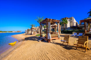 Doprajte hortenziám túto domácu výživu na jar a odmenia sa vám záplavou kvetov