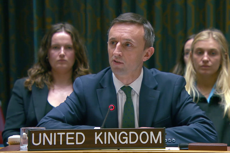 Stability and lasting peace can only be achieved if the efforts of the international community are matched with action by all Haitian stakeholders: UK statement at the UN Security Council