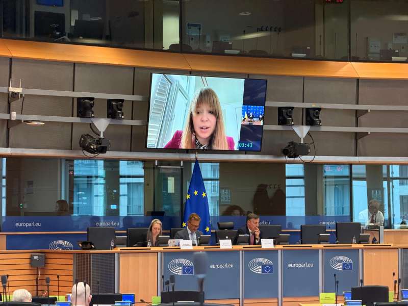 Відбувся обмін думками між членами профільних комітетів у закордонних справах Верховної Ради України та Європейського Парламенту щодо ситуації в Україні та прогресу держави на шляху до ЄС