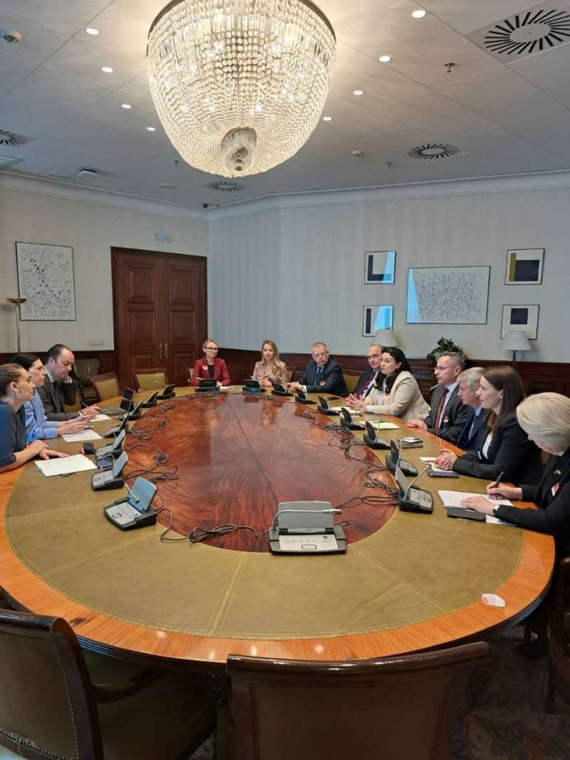 Іванна Климпуш-Цинцадзе та Вадим Галайчук у складі делегації United4Ukraine перебувають з робочим візитом у Мадриді