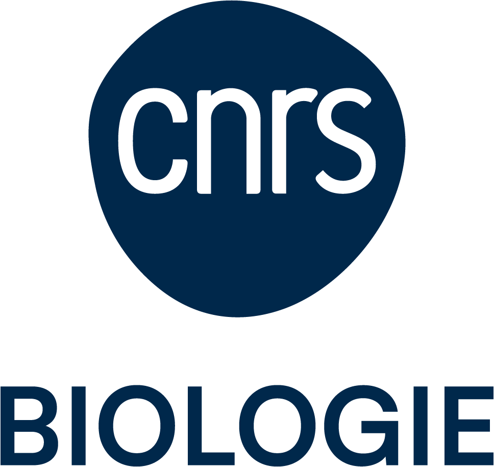 Maxime Derex (TSE-R) wins the CNRS Bronze Medal 2026