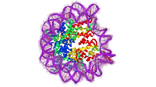 IRB Barcelona coordinates MD4SB, a project to boost dynamic description in structural biology