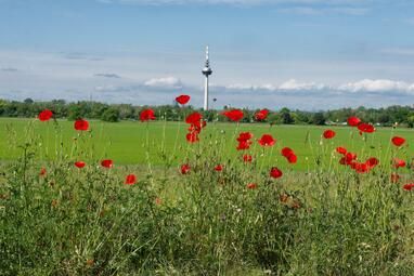 Kommunale Biodiversitätsstrategie beschlossen