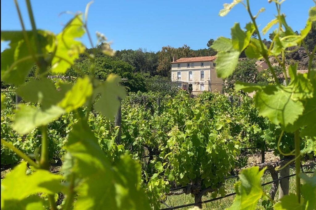 [LUM#23] Les vignes à sec
