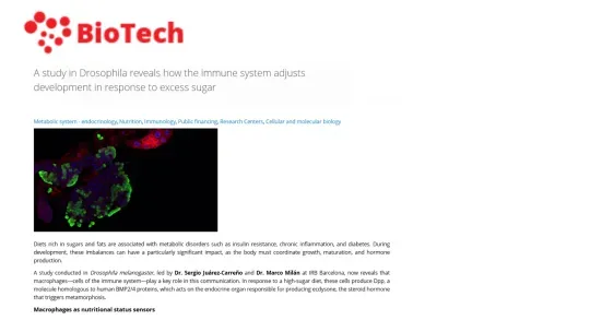 BioTech - A study in Drosophila reveals how the immune system adjusts development in response to excess sugar