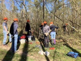 Arbeitseinsatz im Dossenwald