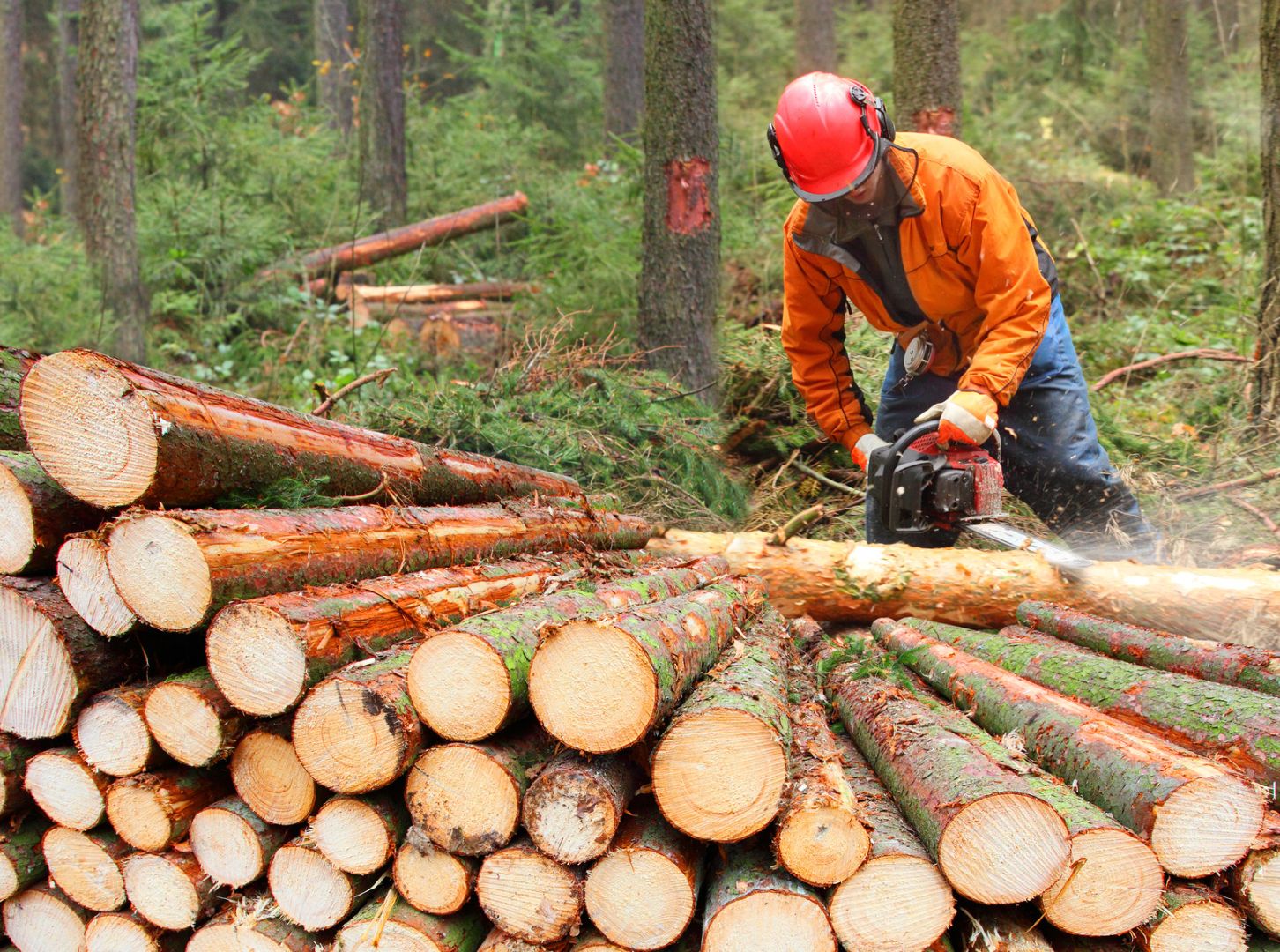 Bundeswettbewerb HolzbauPlus 2025/26 sucht klimafreundliche Bauten aus Stadt und Land