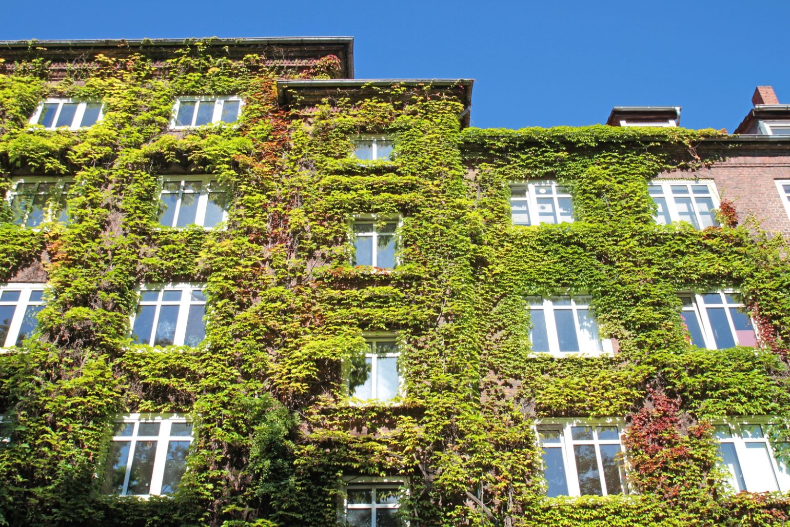 „Sozial – Produktiv – Grün: Quartiere gut gemacht“