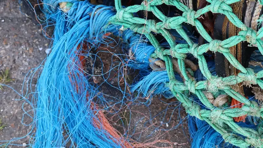 SEARCULAR marca el camino hacia unas artes de pesca circulares en Europa