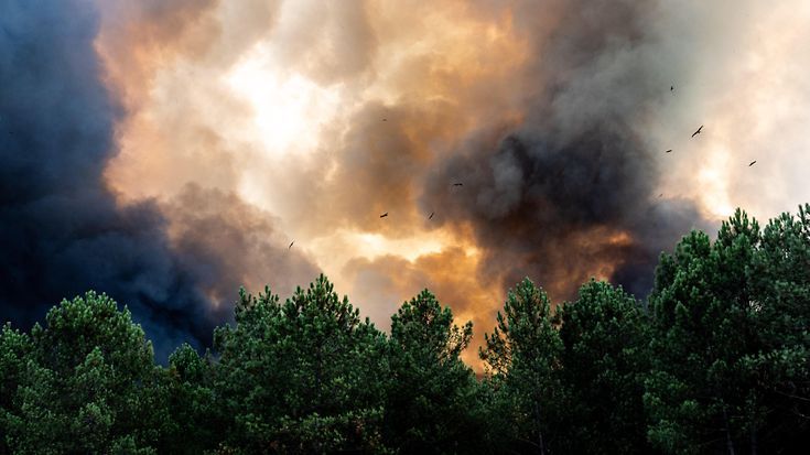 Feuerwolken: Wenn Waldbrände ihr eigenes Wetter erzeugen