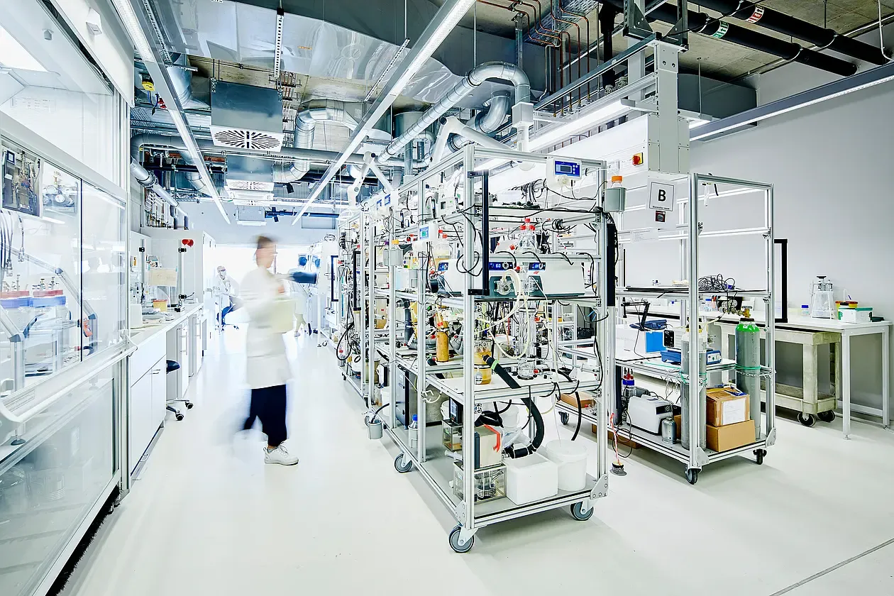 Im industriellen Maßstab: Wie sich die biotechnische Produktion von Proteinen und Vitaminen rentiert